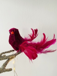 Vtáčik na štipci magenta